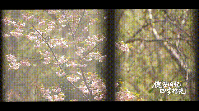 6月14日 (7)-4 00_00_00-00_00_30.gif