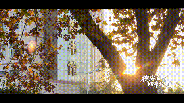 6月14日 (7)-17 00_00_00-00_00_30.gif