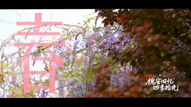 6月14日 (7)-1 00_00_00-00_00_30.gif