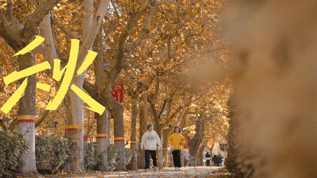 6月14日 (7)(2)-1 00_00_00-00_00_30.gif