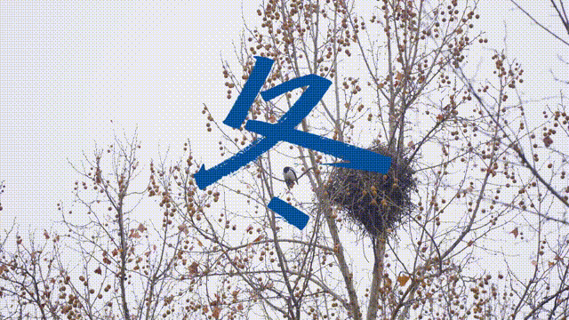 6月14日 (7)(1)-4 00_00_00-00_00_30.gif