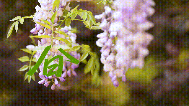 6月14日 (7)(1)-1 00_00_00-00_00_30.gif