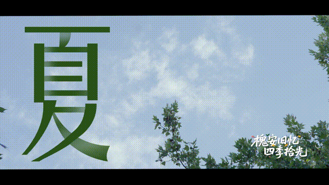 6月14日 (7)-5 00_00_00-00_00_30.gif