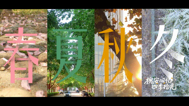 6月14日 (7)-33 00_00_00-00_00_30.gif