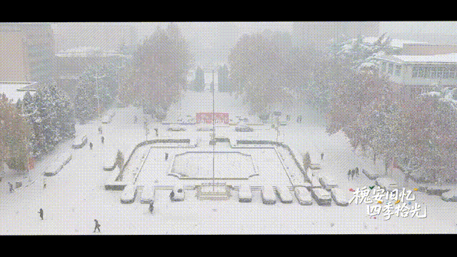 6月14日 (7)-29 00_00_00-00_00_30.gif